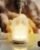 Essential Oil Diffuser – 2.4 MHz Ultrasonic Glass Diffuser with Pulse/Continuous Mist & 3 Night Light Modes, Waterless Auto-Off, Silent Aromatherapy Diffuser for Home, Office, Gifting & Home Decor